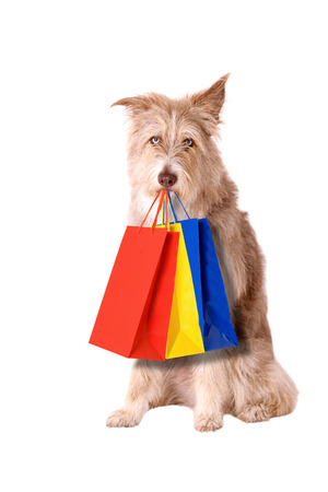 Dog with shopping bags isolated on white backgroundの写真素材
