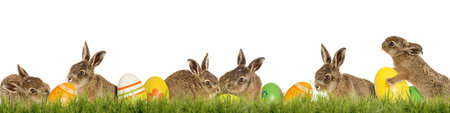 Six little Easter bunny with Easter eggs on a green meadow isolated on a white background with copy...