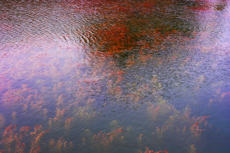 Forbidden City Moatのeditorial素材