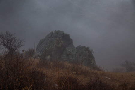 Rocky ledge in the fog in the deep rainy autumn. Ochery vegetation Bush, fallen leaves. Dead grass....