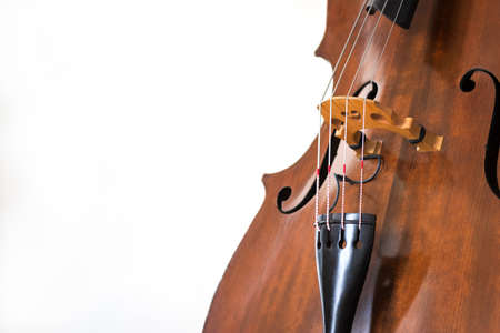 Contrabass details. Wooden string instrument close up. White backgroundの写真素材
