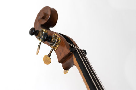 Pegbox, scroll and tuning keys of a contrabass. White background