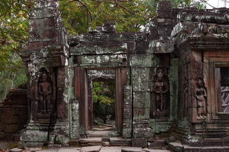 Banteay Kedi Temple in Angkor Siem Reap Cambodiaの写真素材