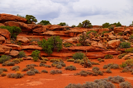 Island in the sky district, Canyonlands National Park in Utahの写真素材