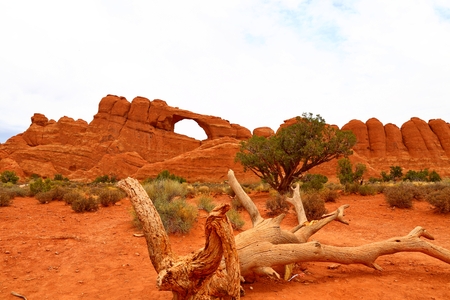 Beautiful landscape in natural colors at Arches National Park in Utah, USAの写真素材
