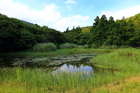 pond near Jingshan bridge near Qingtiangang Grassland, Yangmingshan, Taiwanの写真素材