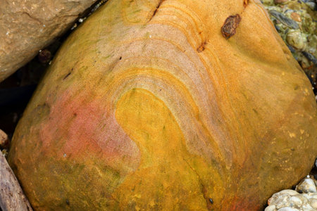 Coastal rock formations at Northeast Coast National Scenic Area, Taipei, Taiwan.の写真素材