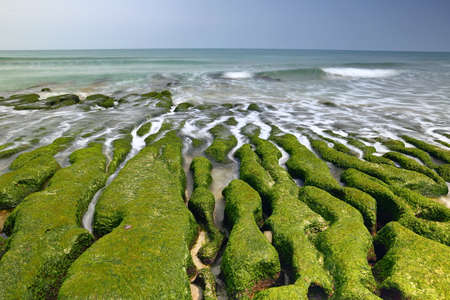 Laomei Green Reef, volcanic rocks with seasonal algae in Shimen District, New Taipei City, Taiwanの写真素材