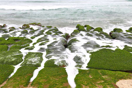 Laomei Green Reef, volcanic rocks with seasonal algae in Shimen District, New Taipei City, Taiwanの写真素材