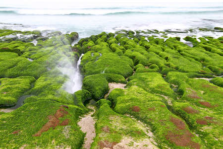 Laomei Green Reef, volcanic rocks with seasonal algae in Shimen District, New Taipei City, Taiwanの写真素材