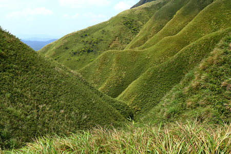Famous Matcha (Green Tea) Mountain, Shengmu Hiking Trail (Marian Hiking Trail), Jiaoxi, Yilan,...