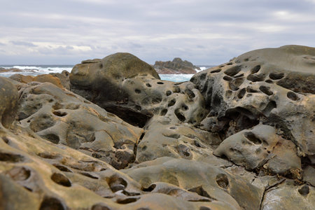 Xiaoyeliu scenic area located at Taitung, eastern Taiwan. The geology and topography here is similar...