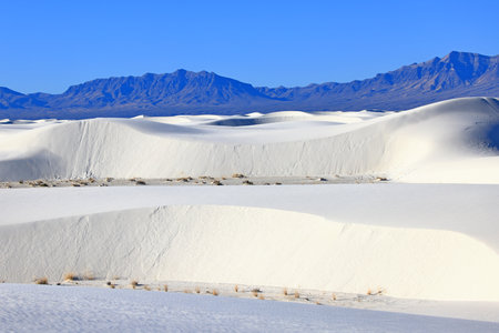 White Sands National Monument is a field of white sand dunes composed of gypsum crystals.の写真素材