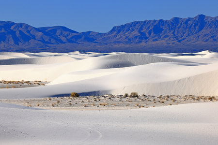 White Sands National Monument is a field of white sand dunes composed of gypsum crystals.の写真素材