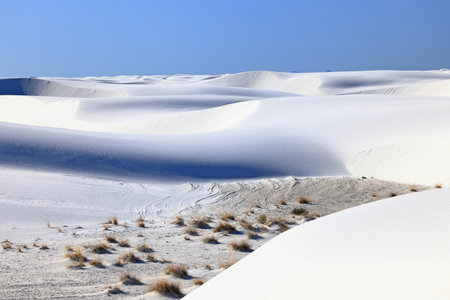 White Sands National Monument is a field of white sand dunes composed of gypsum crystals.の写真素材