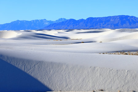 White Sands National Monument is a field of white sand dunes composed of gypsum crystals.の写真素材