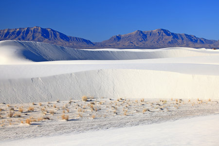 White Sands National Monument is a field of white sand dunes composed of gypsum crystals. It is the largest gypsum dune field in the world.の写真素材