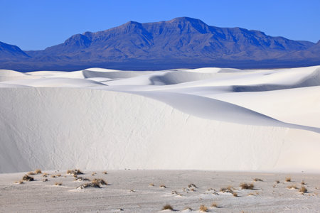 White Sands National Monument is a field of white sand dunes composed of gypsum crystals.の写真素材