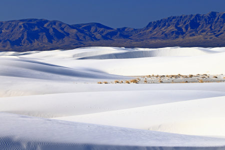 White Sands National Monument is a field of white sand dunes composed of gypsum crystals.の写真素材