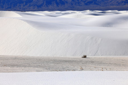 White Sands National Monument is a field of white sand dunes composed of gypsum crystals. It is the largest gypsum dune field in the world.の写真素材