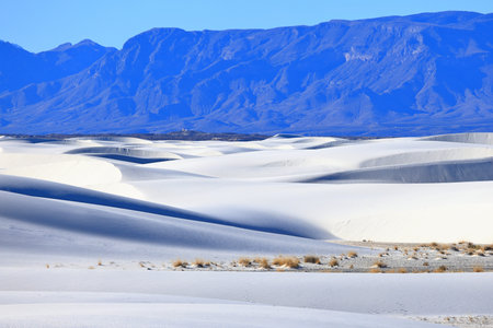 White Sands National Monument is a field of white sand dunes composed of gypsum crystals. It is the...