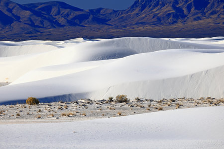 White Sands National Monument is a field of white sand dunes composed of gypsum crystals. It is the largest gypsum dune field in the world.の写真素材