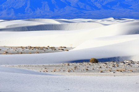 White Sands National Monument is a field of white sand dunes composed of gypsum crystals.の写真素材
