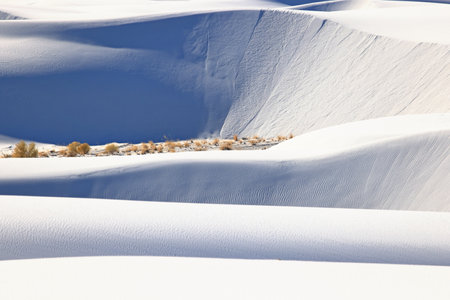 White Sands National Monument is a field of white sand dunes composed of gypsum crystals.の写真素材
