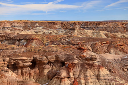Petrified Forest National Park, a natural attraction place with many petrified tree trunks and fossils, in Arizona, USA.の写真素材