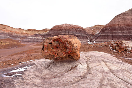Volcanic landscape in Petrified Forest National Park, Arizona, USAの写真素材
