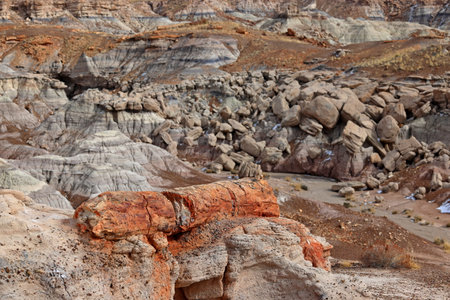 Colorful sandstone formations in Petrified Forest National Park, Arizonaの写真素材