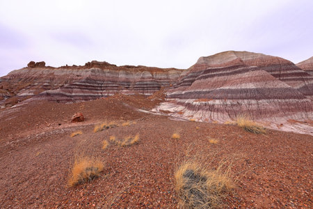 Rock formations in Petrified Forest National Park, Arizona, USA.の写真素材