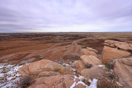 Petrified Forest National Park, a natural attraction place with many petrified tree trunks and fossils, in Arizona, USA.の写真素材