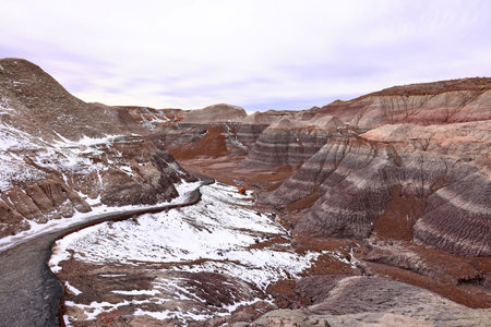 Petrified Forest National Park, a natural attraction place with many petrified tree trunks and fossils, in Arizona, USA.の写真素材