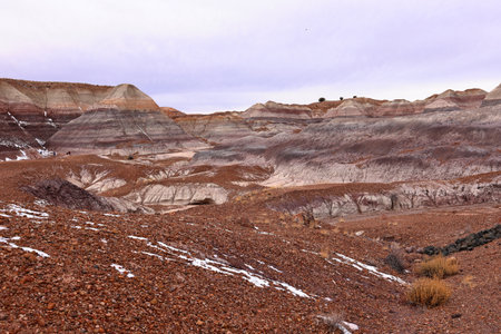 Valle de la Luna, Petrified Forest National Park, Arizona, USAの写真素材