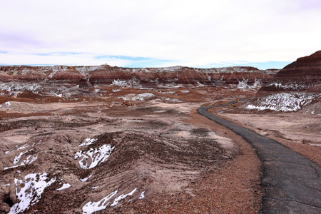 Landscape of Petrified Forest National Park in Arizona, United Statesの写真素材