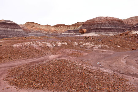 Volcanic landscape in Petrified Forest National Park, Arizona, USAの写真素材