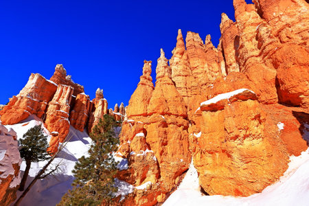 Bryce Canyon National Park in Utah, USA in winter with snowの写真素材