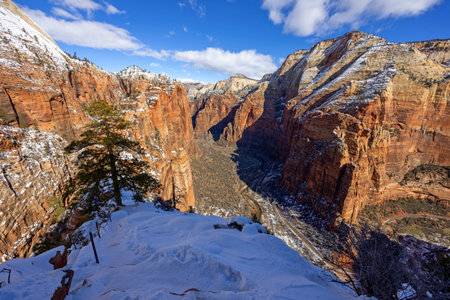 Zion National Park in winter, Utah, United States of Americaの写真素材