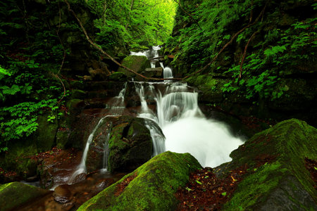 Summer green colors of Oirase River, located at Towada, Aomori, Japanの写真素材