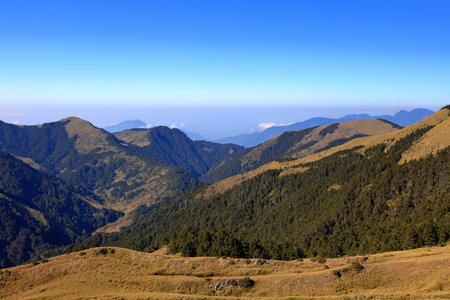 Beautiful landscape of Hehuanshan North Peak Trail at Hehuanshan National Forest Recreation Area in Nantou Taiwan,の写真素材