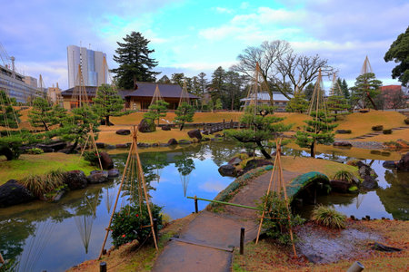 Japanese garden in Kyoto, Japan. Kyoto is the capital and largest city of Japan.の写真素材