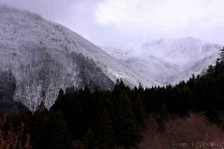 Mountains near village of Shirakawa-go located in Gifu Prefecture, Japan.の写真素材