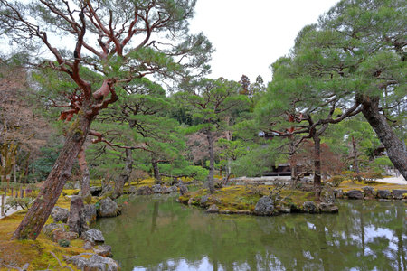 Japanese garden with pond and pine trees in Himeji, Japan