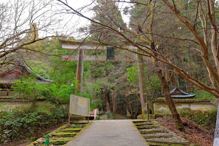 Shinto shrine in Kamakura, Japan.の写真素材