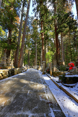 Hiking trail in Nikko, Japanの写真素材