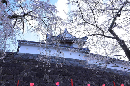 Nagano Castle and cherry blossom in spring, Nagano, Japanの写真素材