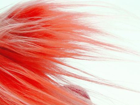 The fiery blondeの写真素材