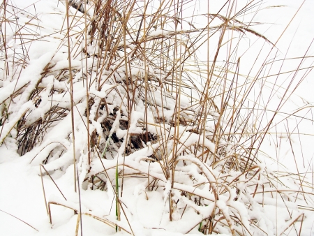 Winterの写真素材