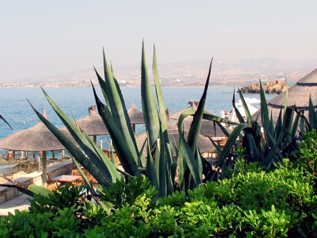 Cafe on the shore of the seaの写真素材